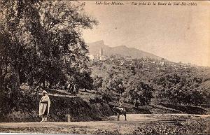 TLEMCEN ENVIRONS 002